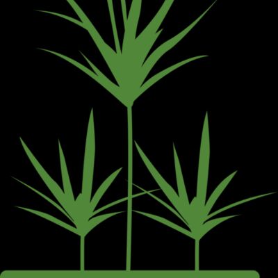 Plants 5 Thumbnail