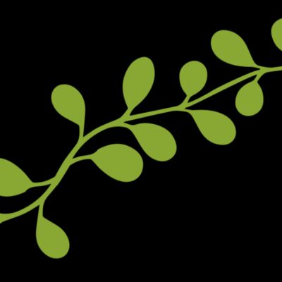 Leaves 13 Thumbnail