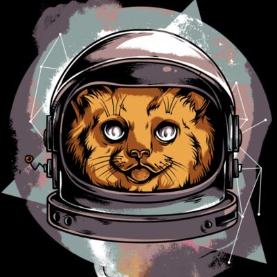 Cosmic Cat Thumbnail